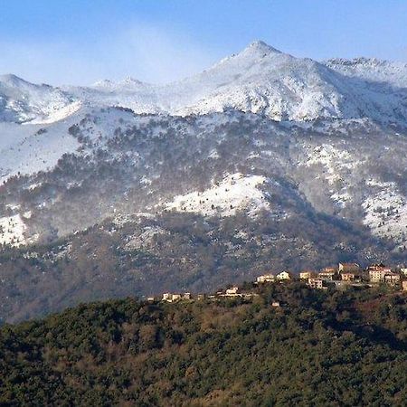 فندق Casa Bonino Prunelli-di-Fiumorbo المظهر الخارجي الصورة